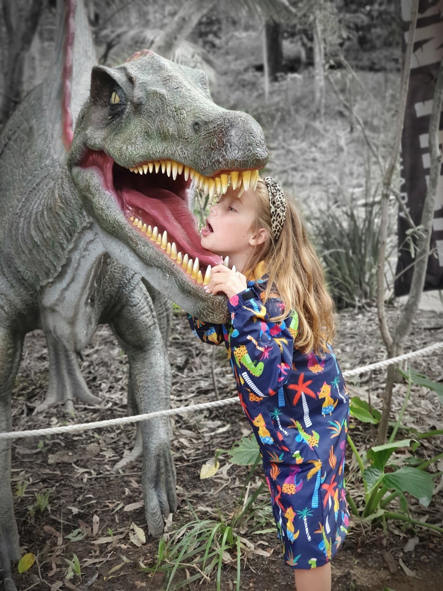 Dinosaur - Schmik Swim Parkas